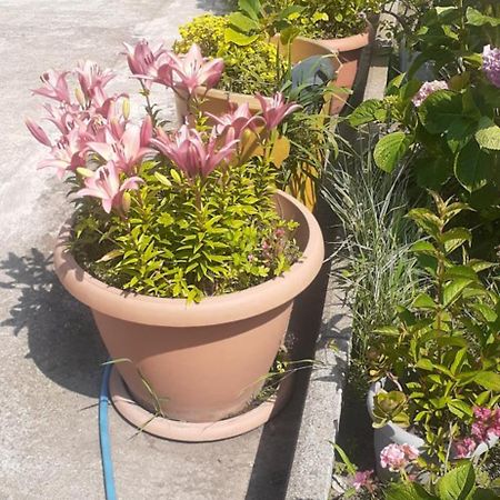Boutique Hotel Poti Ngoại thất bức ảnh