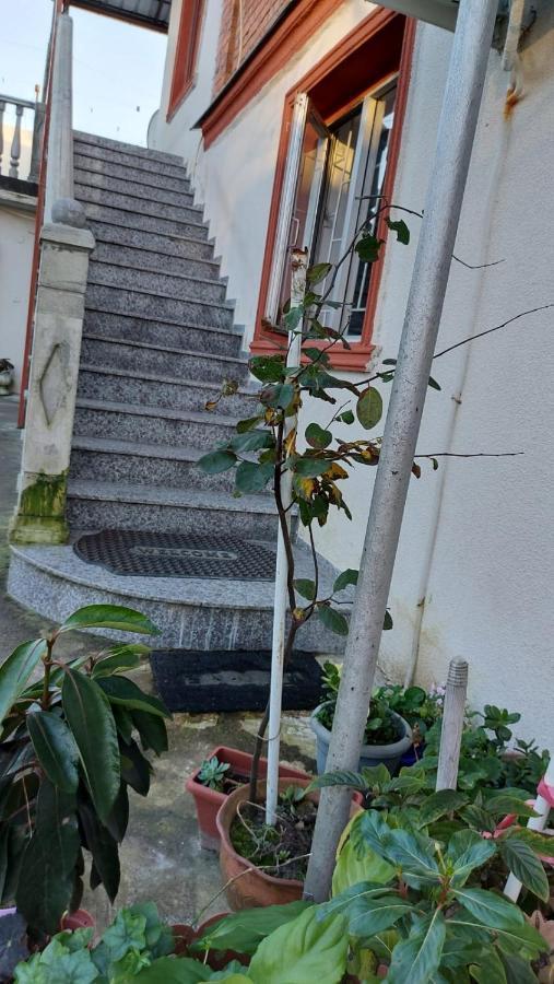 Boutique Hotel Poti Ngoại thất bức ảnh