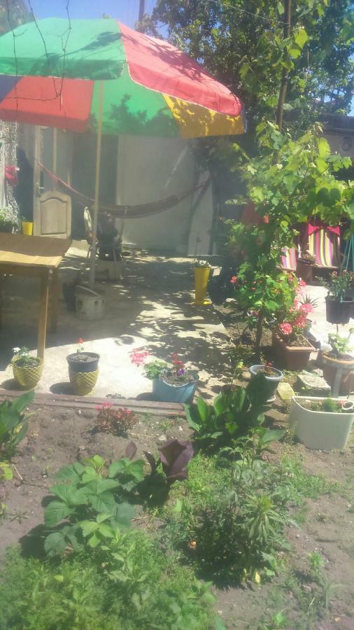 Boutique Hotel Poti Ngoại thất bức ảnh